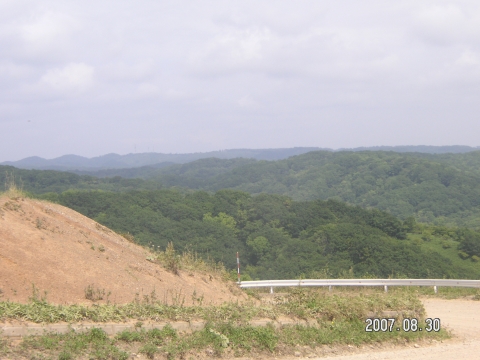 s_PICT0552.jpg